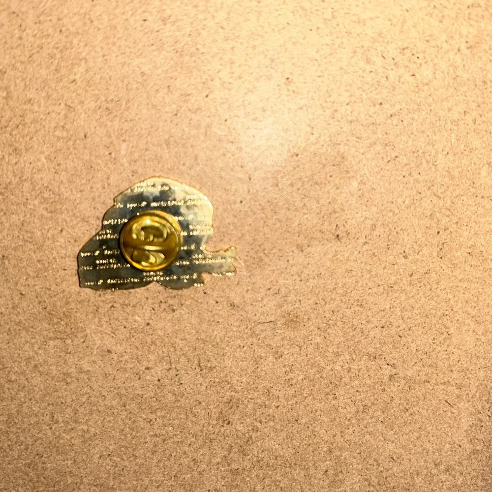 Jeff Gordon Race Day Hat Pin